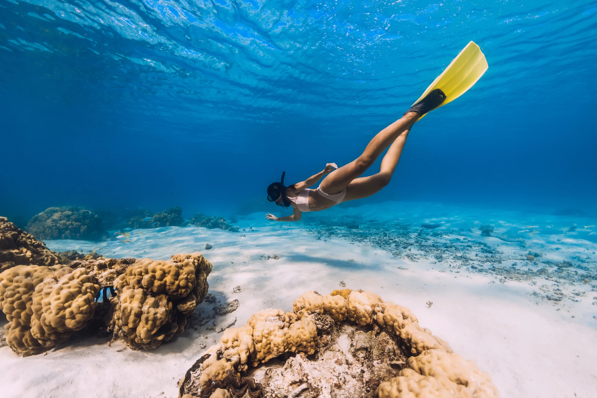 Mauritius lagoon and coral reef